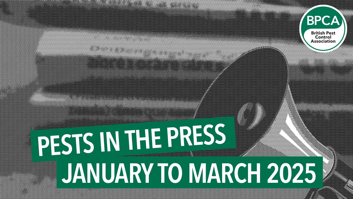 press hero2 press hero2